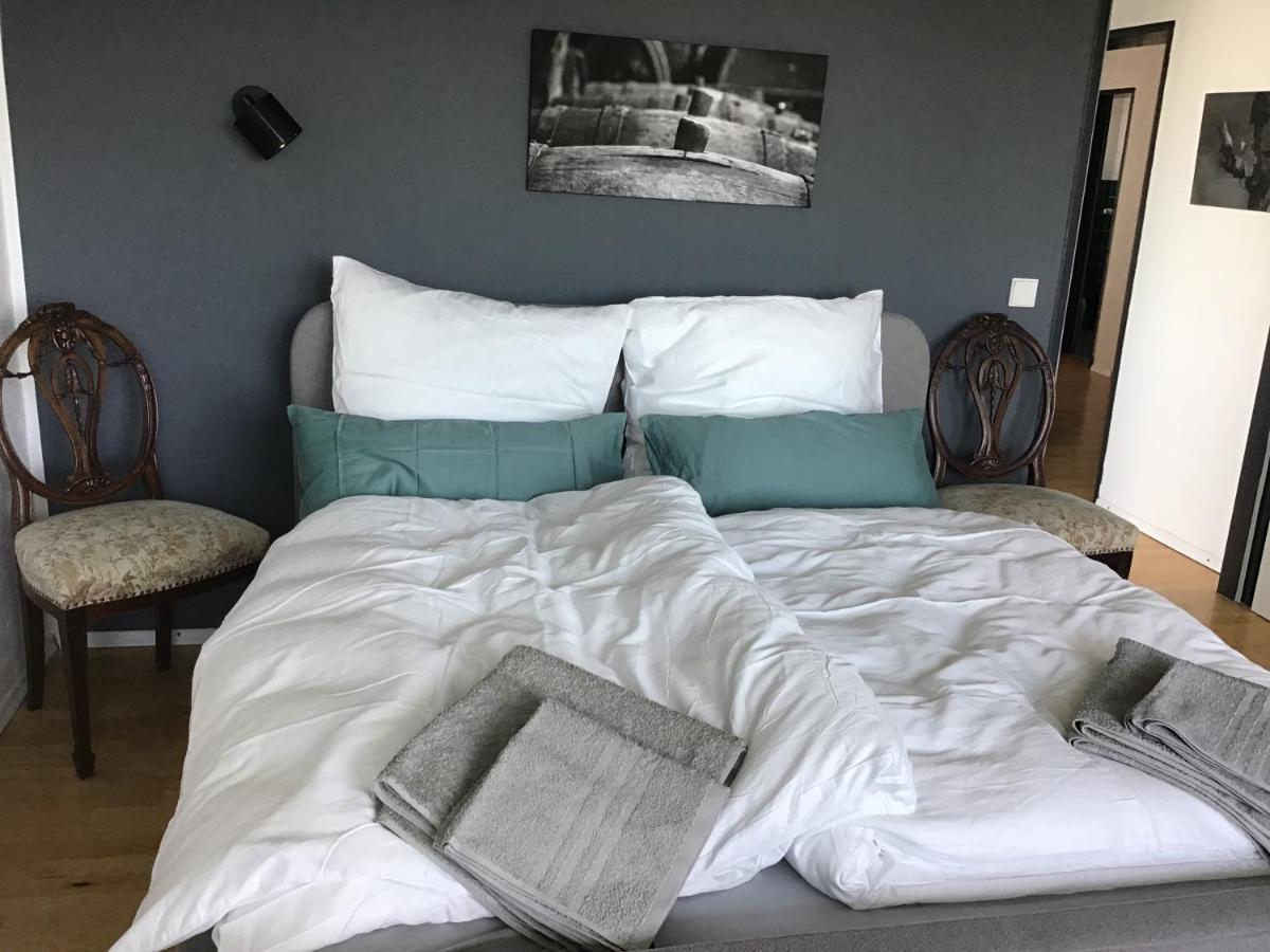 Apartment Rheingauzuhause Mit Privatpool